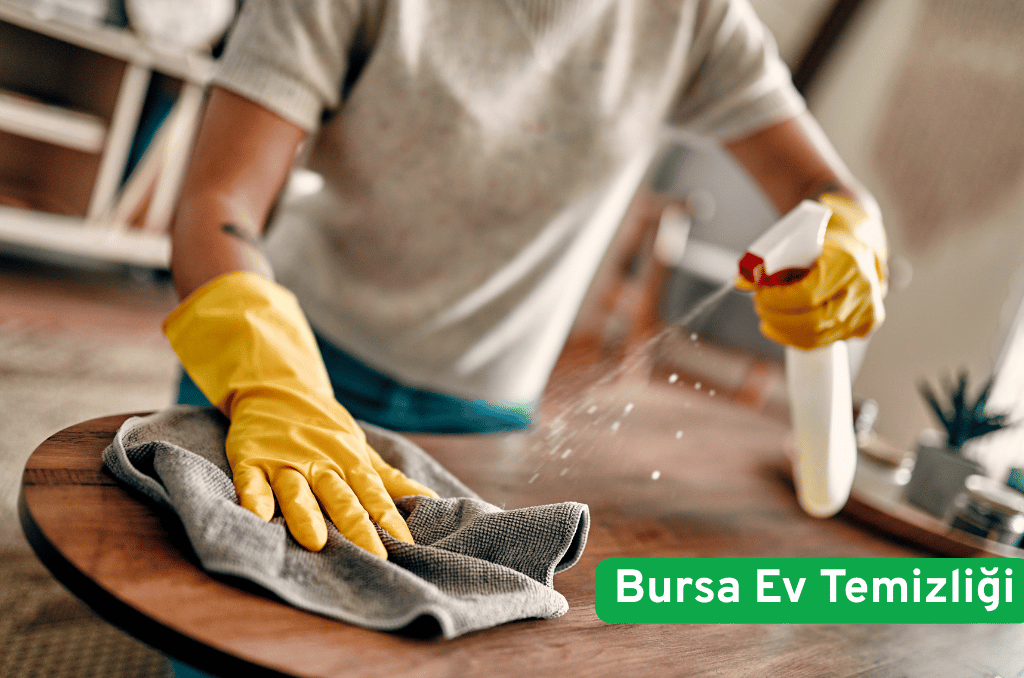 Bursa-Ev-Temizligi